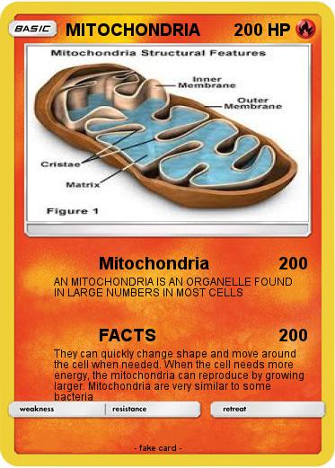 Pokemon MITOCHONDRIA