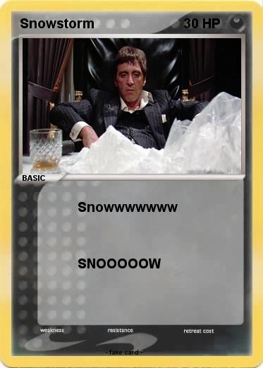 Pokemon Snowstorm