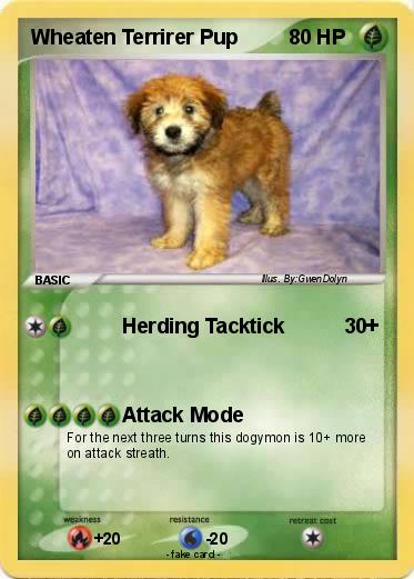 Pokemon Wheaten Terrirer Pup
