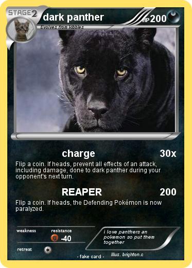 Pokemon dark panther