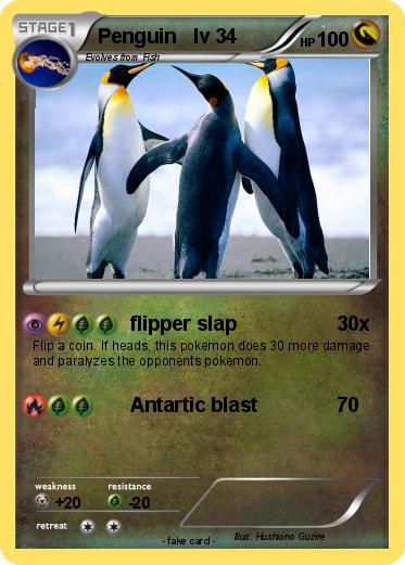 Pokemon Penguin   lv 34