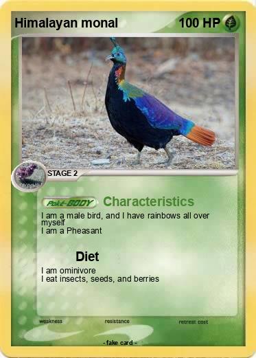 Pokemon Himalayan monal