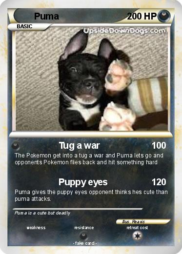 Pokemon Puma