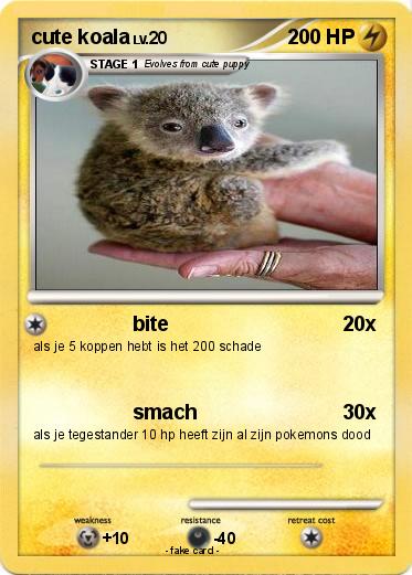 Pokemon cute koala