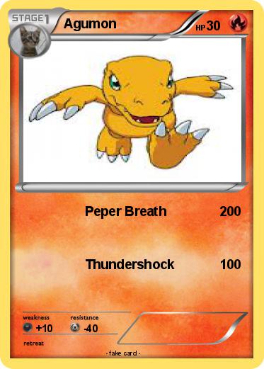 Pokemon Agumon