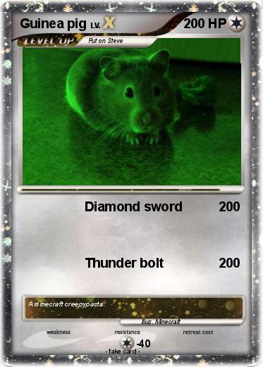 Pokemon Guinea pig