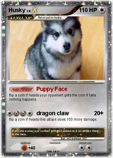 Pokemon Husky