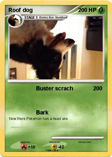 Pokemon Roof dog