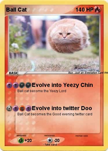 Pokemon Ball Cat
