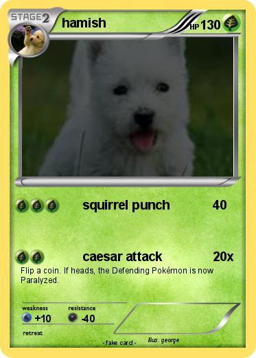 Pokemon hamish