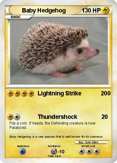 Pokemon Baby Hedgehog