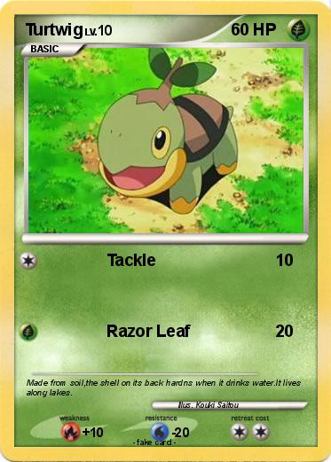 Pokemon Turtwig