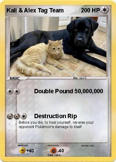 Pokemon Kali & Alex Tag Team