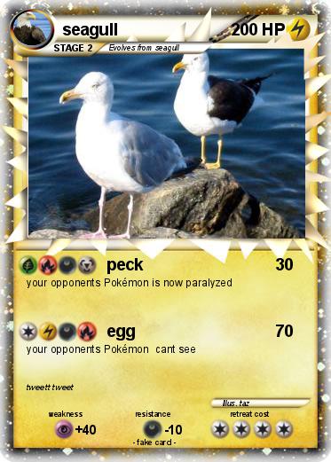 Pokemon seagull