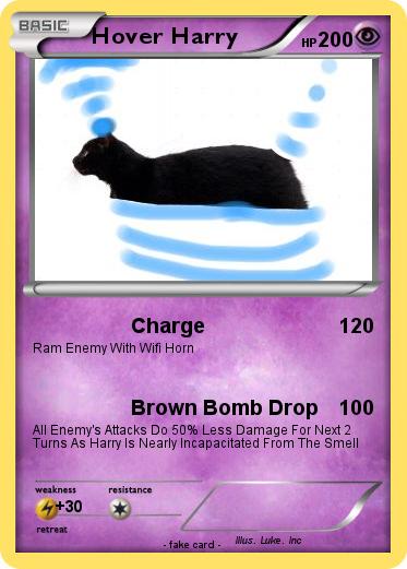 Pokemon Hover Harry