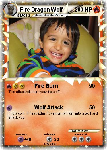 Pokemon Fire Dragon Wolf