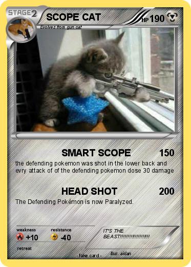 Pokemon SCOPE CAT