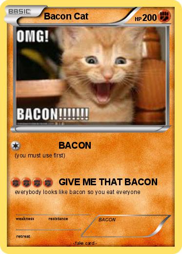 Pokemon Bacon Cat