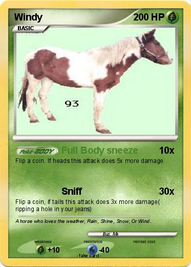 Pokemon Windy
