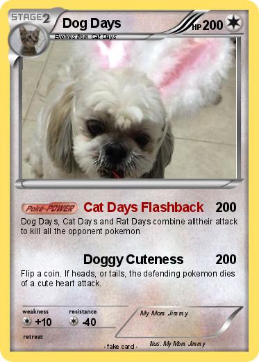 Pokemon Dog Days