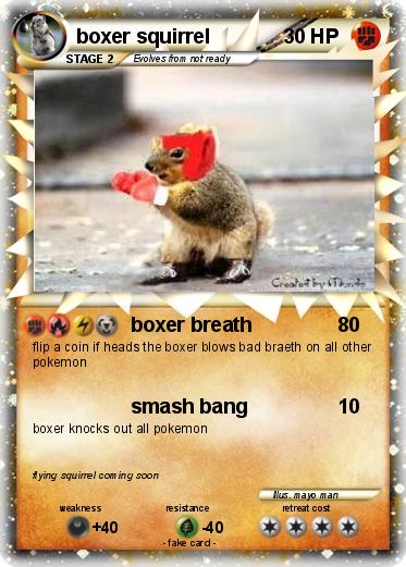 Pokemon boxer squirrel
