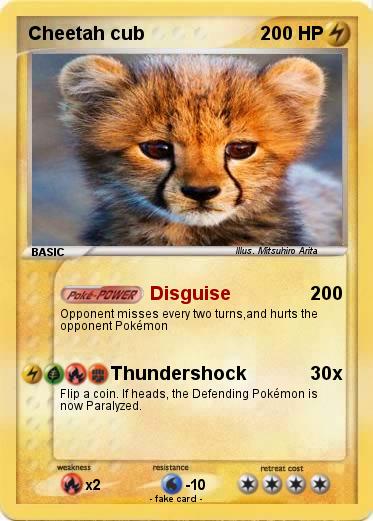 Pokemon Cheetah cub