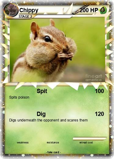 Pokemon Chippy