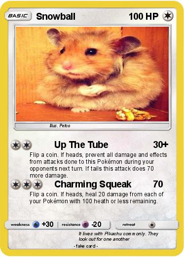 Pokemon Snowball