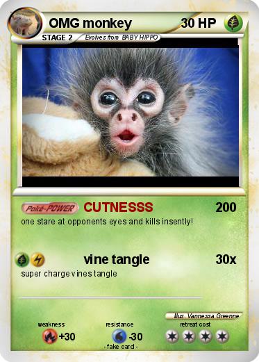 Pokemon OMG monkey