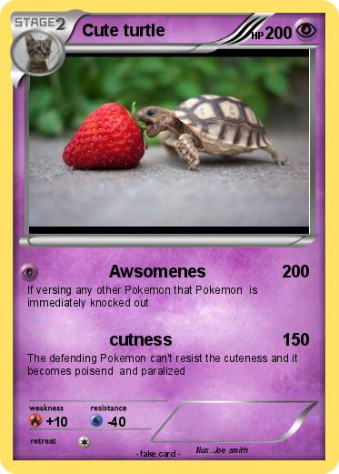 Pokemon Cute turtle