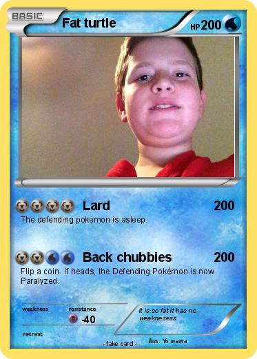 Pokemon Fat turtle