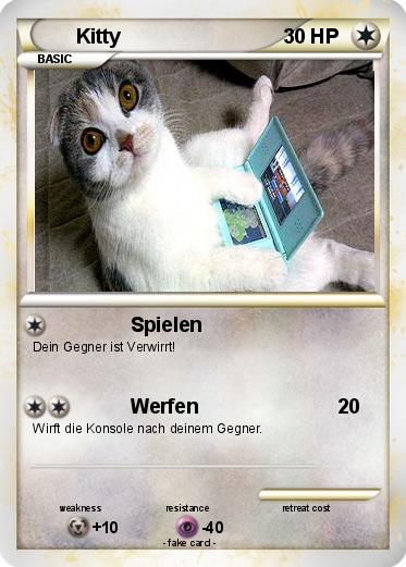 Pokemon Kitty