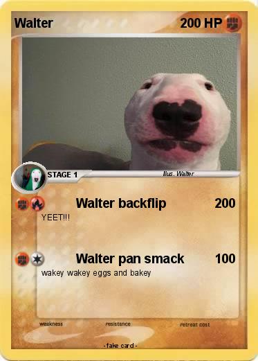 Pokemon Walter