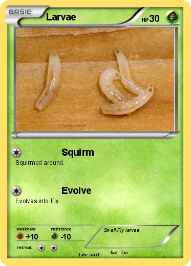 Pokemon Larvae