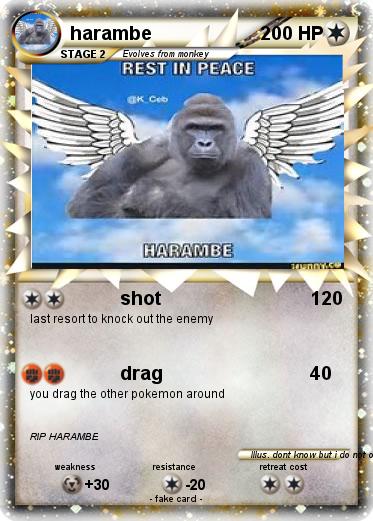 Pokemon harambe