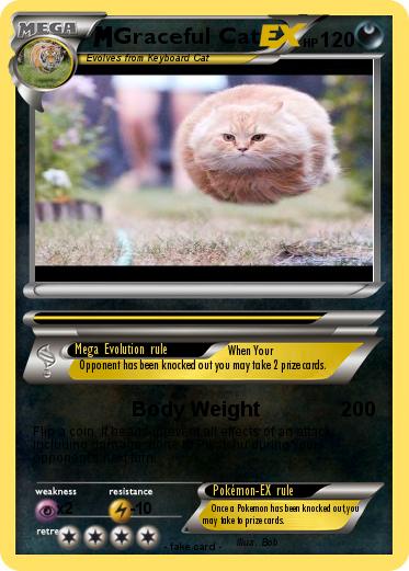 Pokemon Graceful Cat