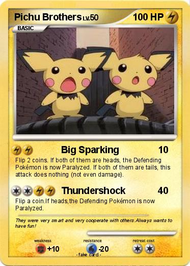 Pokemon Pichu Brothers