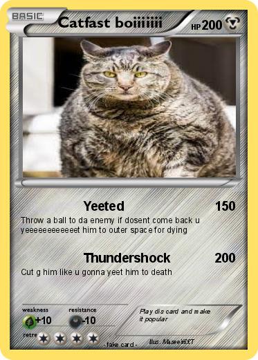 Pokemon Catfast boiiiiiii