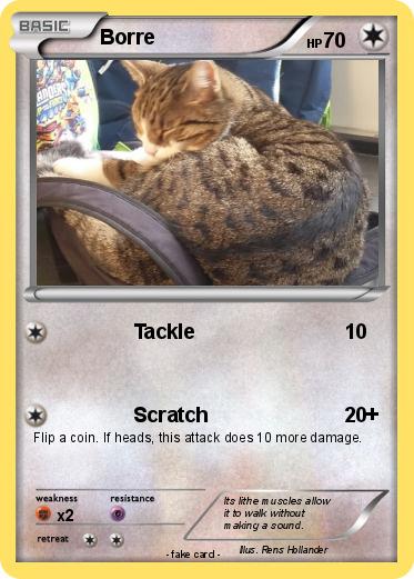 Pokemon Borre