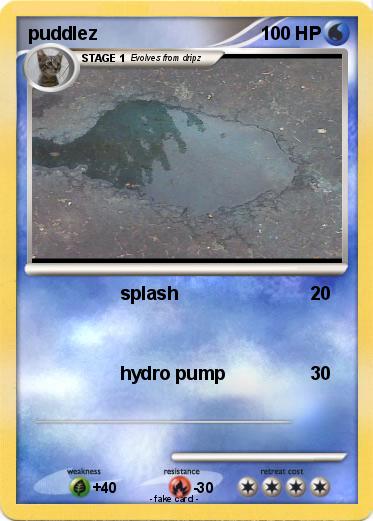 Pokemon puddlez