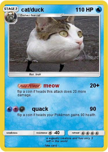 Pokemon cat/duck