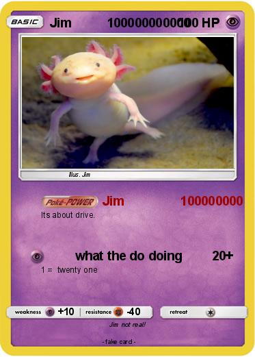 Pokemon Jim          100000000000