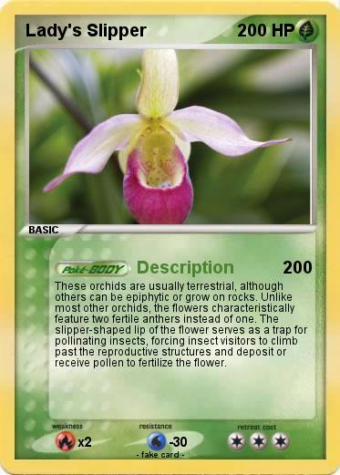 Pokemon Lady's Slipper
