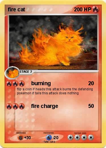 Pokemon fire cat