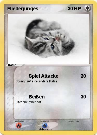 Pokemon Fliederjunges