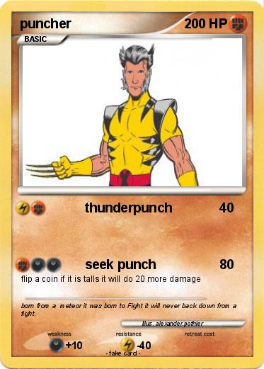 Pokemon puncher