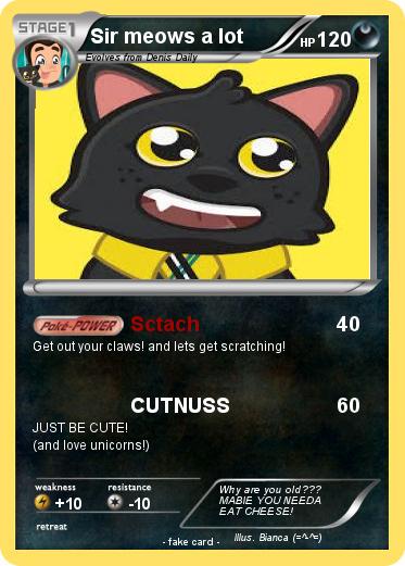 Pokemon Sir meows a lot