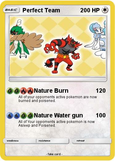 Pokemon Perfect Team