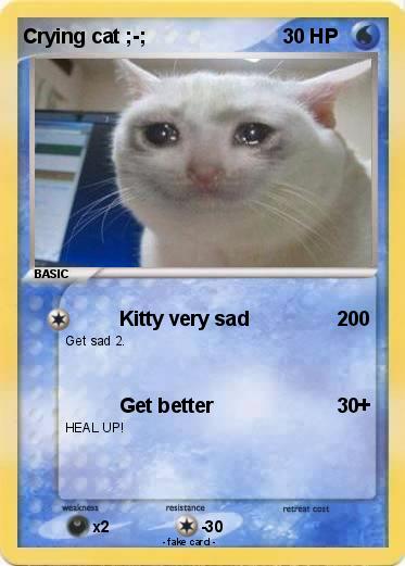 Pokemon Crying cat ;-;