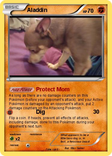 Pokemon Aladdin